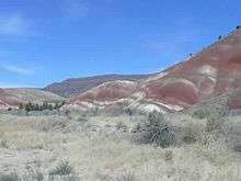 Bands of laterite give these Painted Hills in the John Day Fossil Beds National Monument near Mitchell, Oregon their colorful appearance. Video by Mary Harrsch