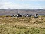 photo of armoured vehicles easy to see on bare hillside