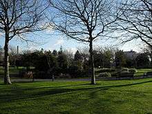 sunlit park in winter