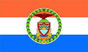 Flag of the Bronx