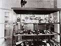 COLLECTIE TROPENMUSEUM Vitrine met prehistorische vondsten in het Geologisch Museum Bandoeng TMnr 60016834.jpg