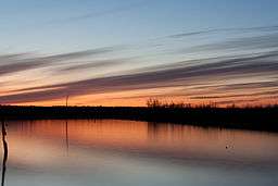 An orange sunset reflects in a quiet and calm Cane Creek Lake with a timber line on the horizon