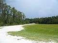 Colt Creek SP road01.jpg