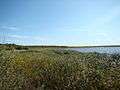 Grand Beach and Provincial Park in Lake Winnipeg in Fall 2008 Manitoba Canada (2).JPG