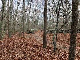Mountain biker on the crushed stone bike near the turn to Groton's X-Town Trail and Gibson Pond in Haley Farm State Park