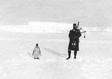 Man on right in Scots highland costume, playing bagpipes, while on the left a lone penguin stands. The ground is covered in ice, with a high ice ridge in the background.