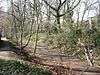 Sherrardspark Wood