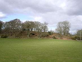Buckland Rings viewed from the south