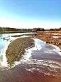 Taylortown Salt Marsh (Aspetuck Land Trust), Westport, CT 06880, USA - Feb 2013 02.jpg
