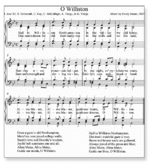 O Williston