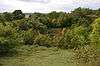 Totternhoe Knolls