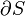  \partial S 